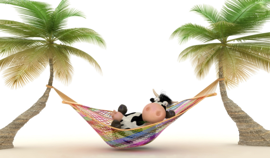 Cow relaxing in Hammock for 1024 x 600 widescreen resolution