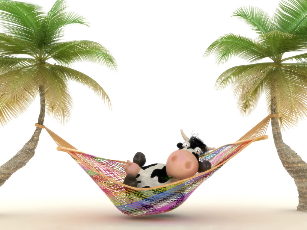 Cow relaxing in Hammock for 1024 x 768 resolution