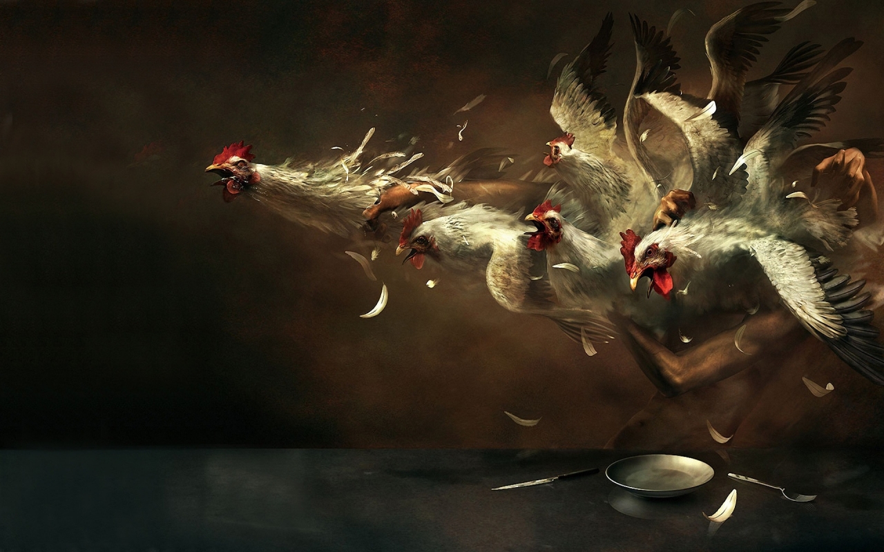 Crazy Chickens for 1280 x 800 widescreen resolution