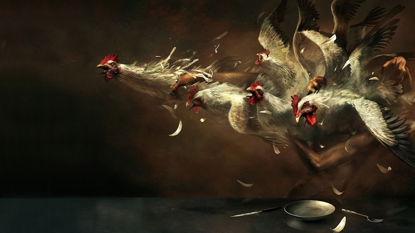 Crazy Chickens for 1366 x 768 HDTV resolution