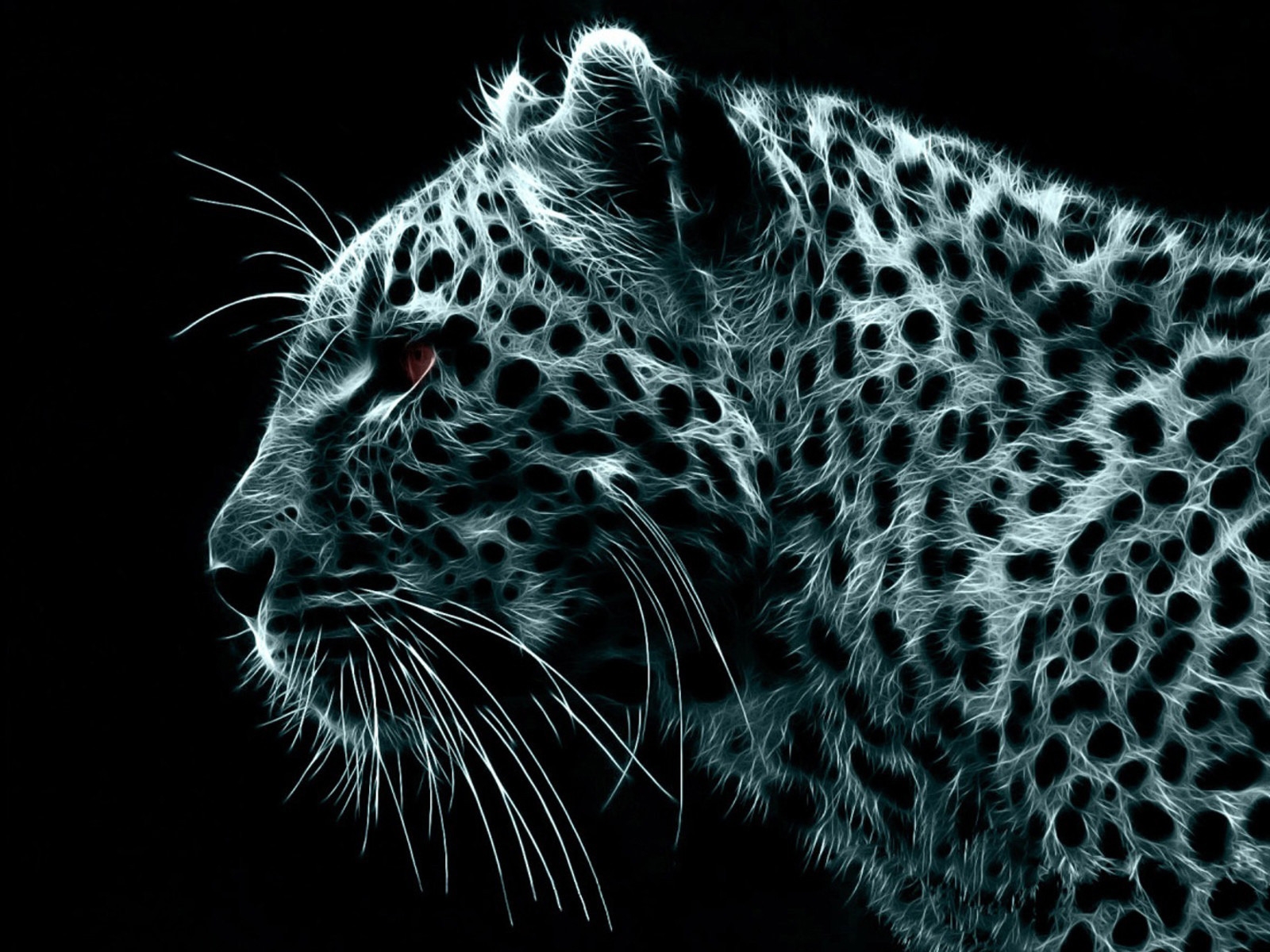 Crazy Leopard for 1600 x 1200 resolution