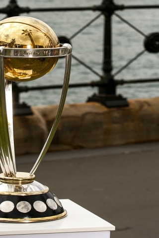 Cricket World Cup 2015 Trophy for 320 x 480 iPhone resolution