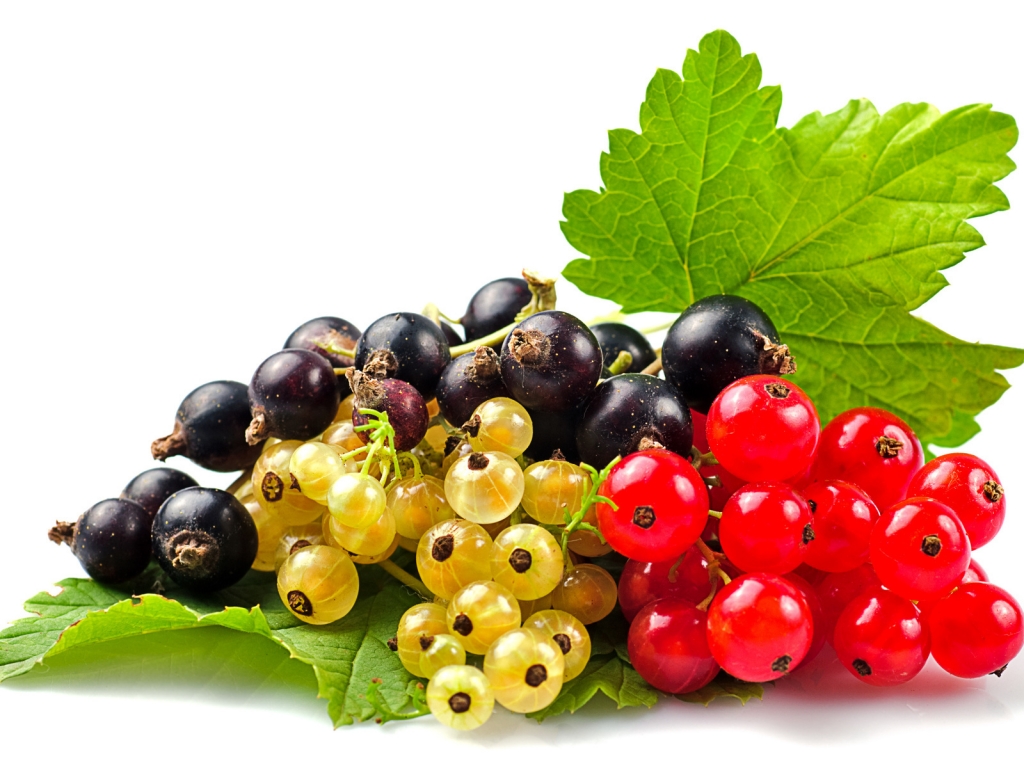 Currants Selection for 1024 x 768 resolution