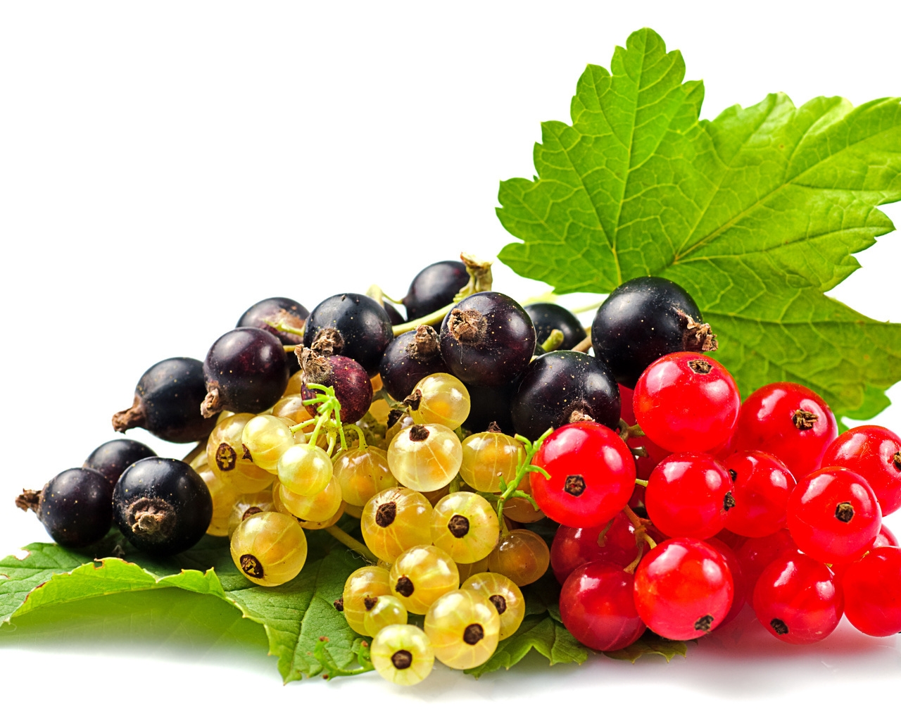 Currants Selection for 1280 x 1024 resolution