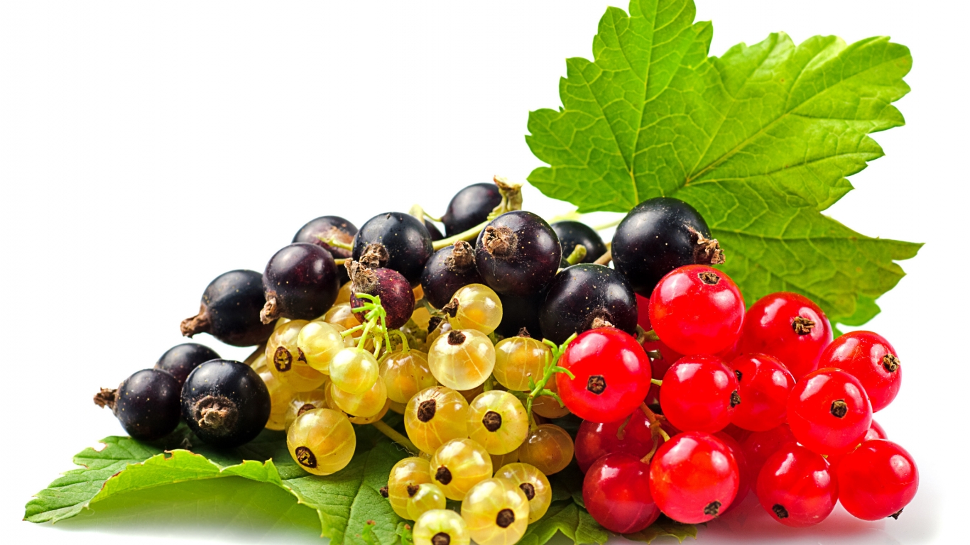 Currants Selection for 1366 x 768 HDTV resolution