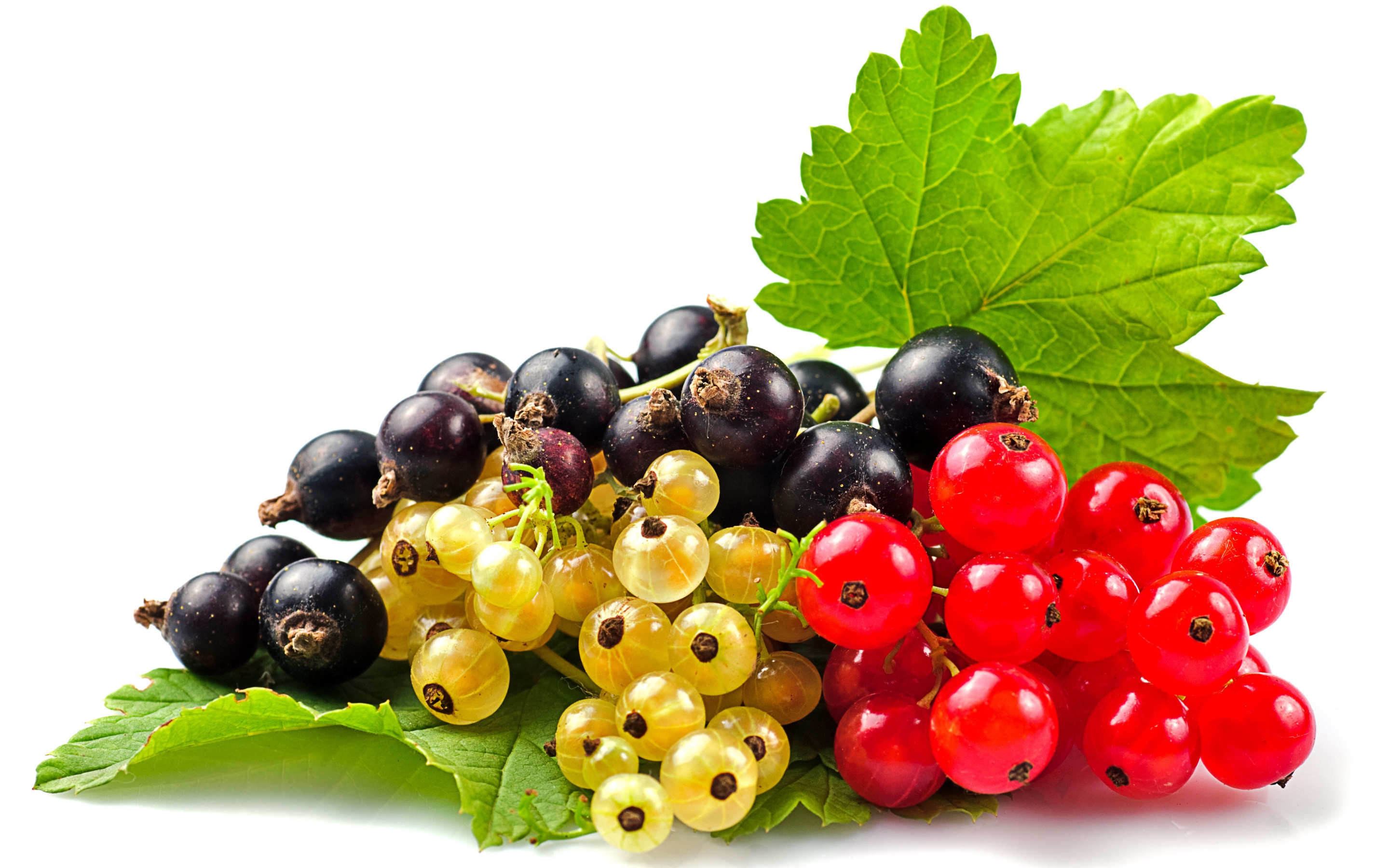 Currants Selection for 2880 x 1800 Retina Display resolution