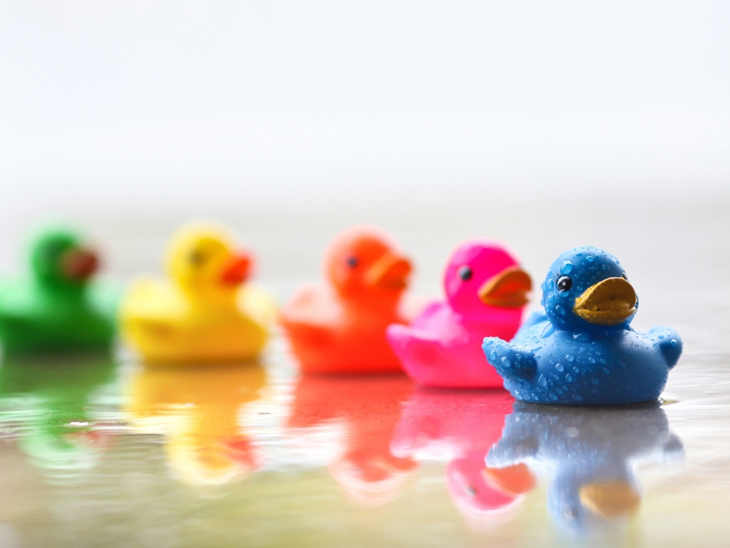 Cute Colourful Rubber Ducks for 1024 x 768 resolution