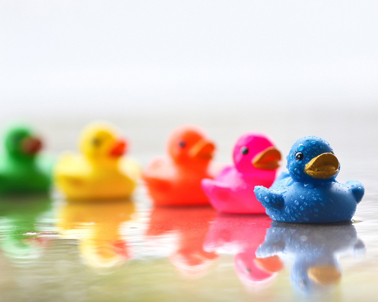 Cute Colourful Rubber Ducks for 1280 x 1024 resolution