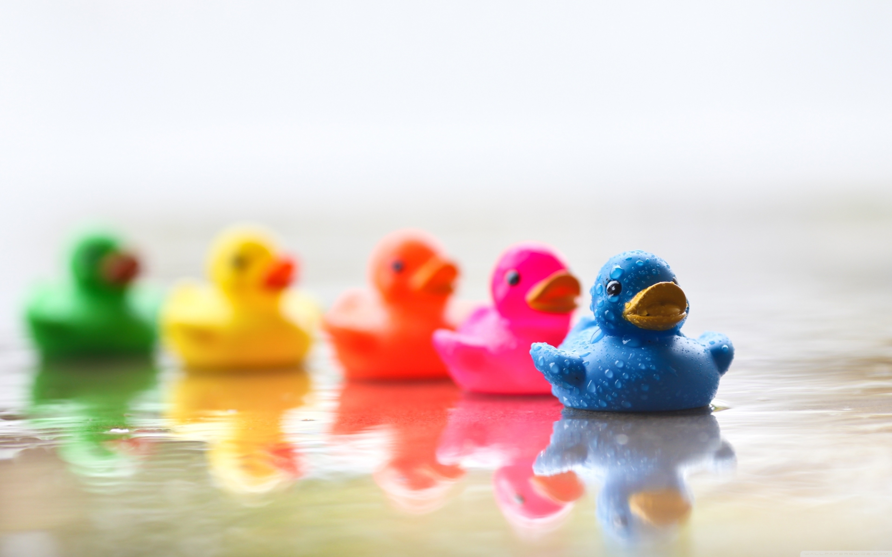 Cute Colourful Rubber Ducks for 2880 x 1800 Retina Display resolution