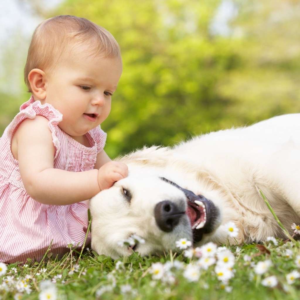 Cute Little Girl Playing With Dog for 1024 x 1024 iPad resolution