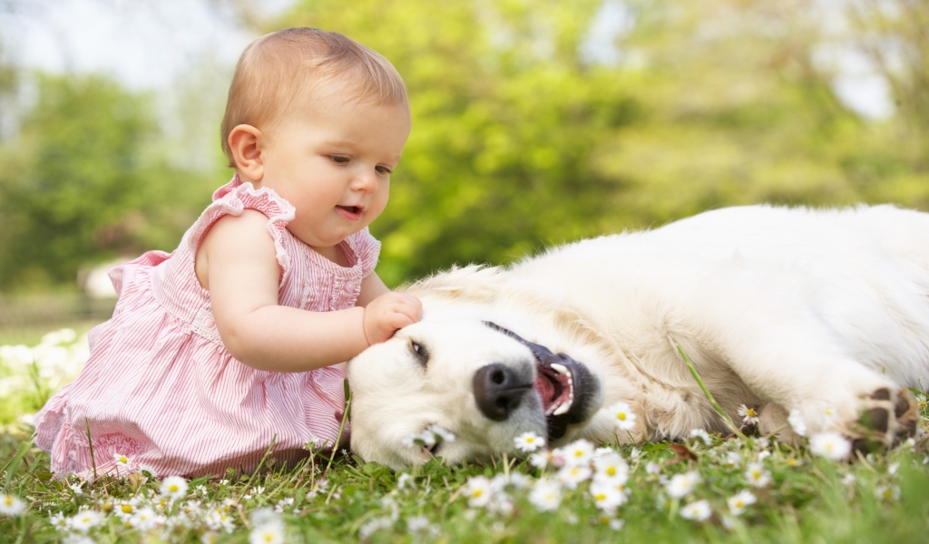 Cute Little Girl Playing With Dog for 1024 x 600 widescreen resolution