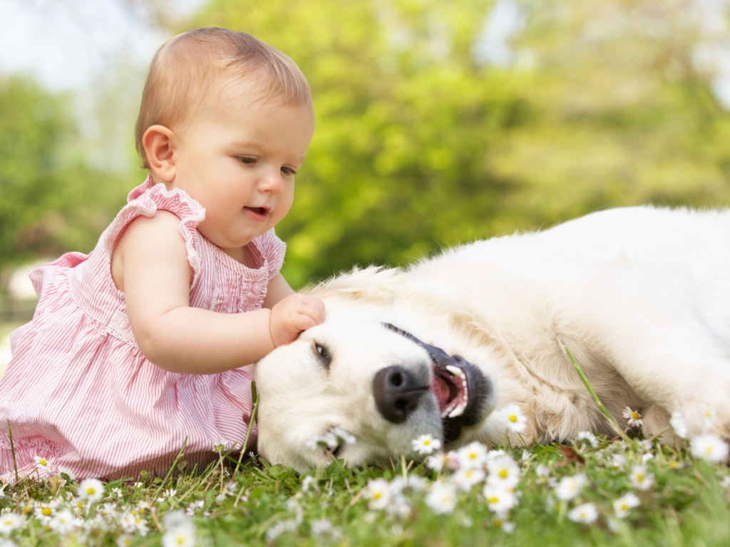 Cute Little Girl Playing With Dog for 1024 x 768 resolution