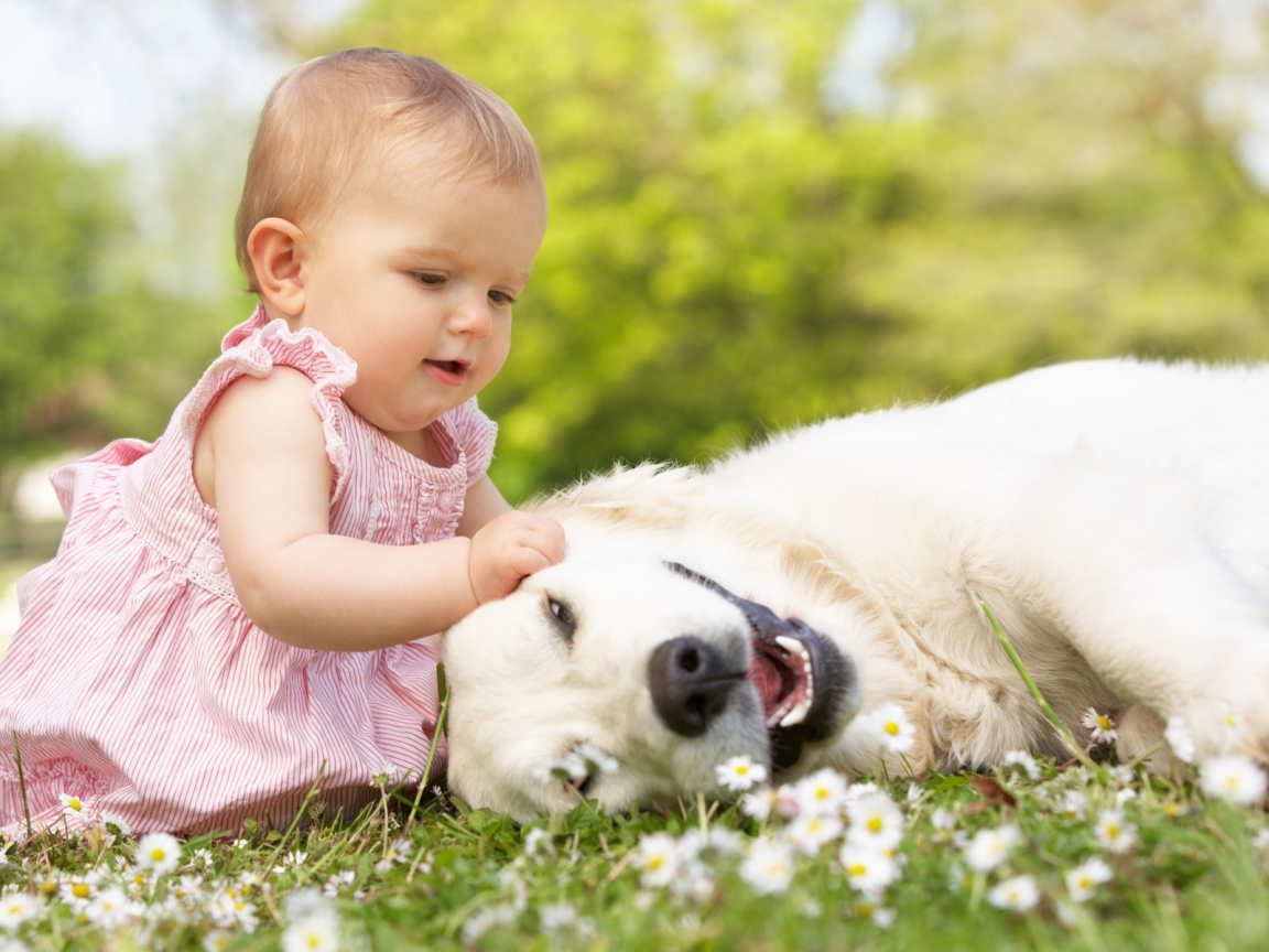 Cute Little Girl Playing With Dog for 1152 x 864 resolution