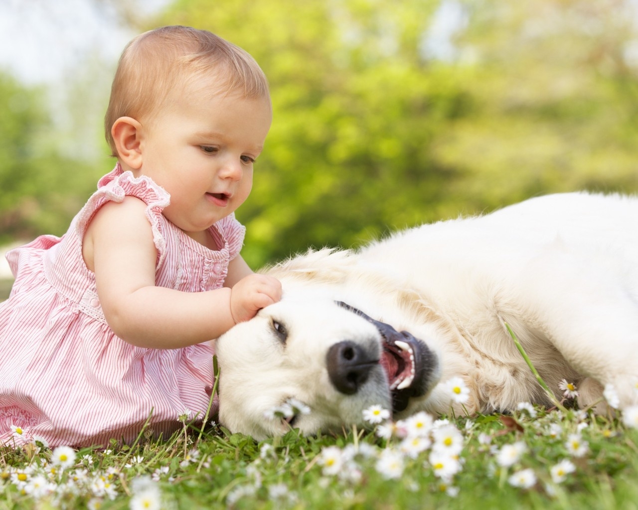 Cute Little Girl Playing With Dog for 1280 x 1024 resolution