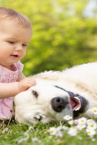 Cute Little Girl Playing With Dog for 320 x 480 iPhone resolution