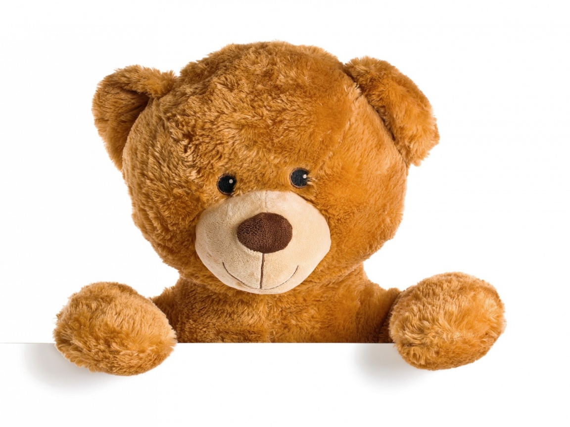 Cute Teddy Bear for 1152 x 864 resolution