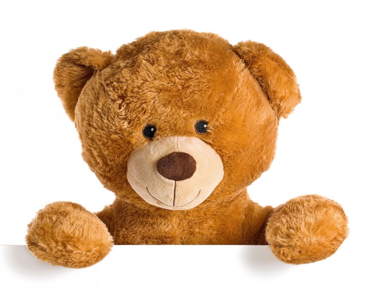 Cute Teddy Bear for 1280 x 1024 resolution