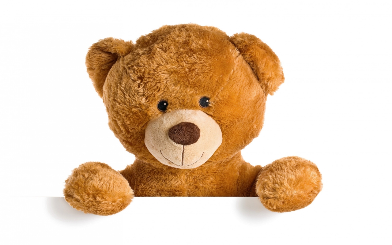 Cute Teddy Bear for 1280 x 800 widescreen resolution