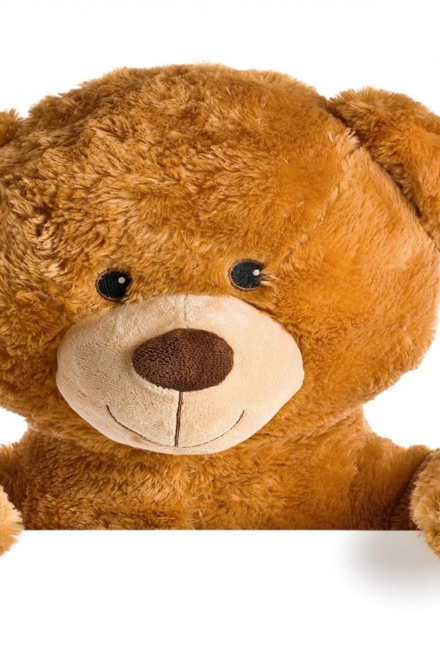 Cute Teddy Bear for 640 x 960 iPhone 4 resolution