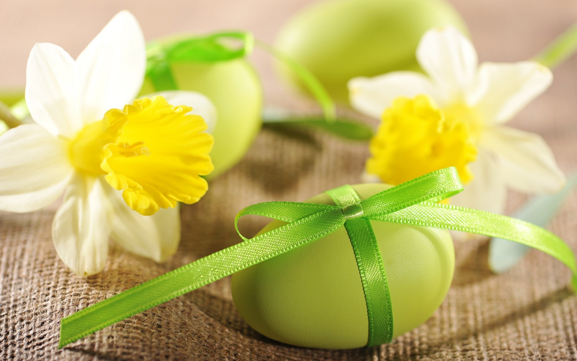 Daffodils and Easter Eggs  for 1920 x 1200 widescreen resolution