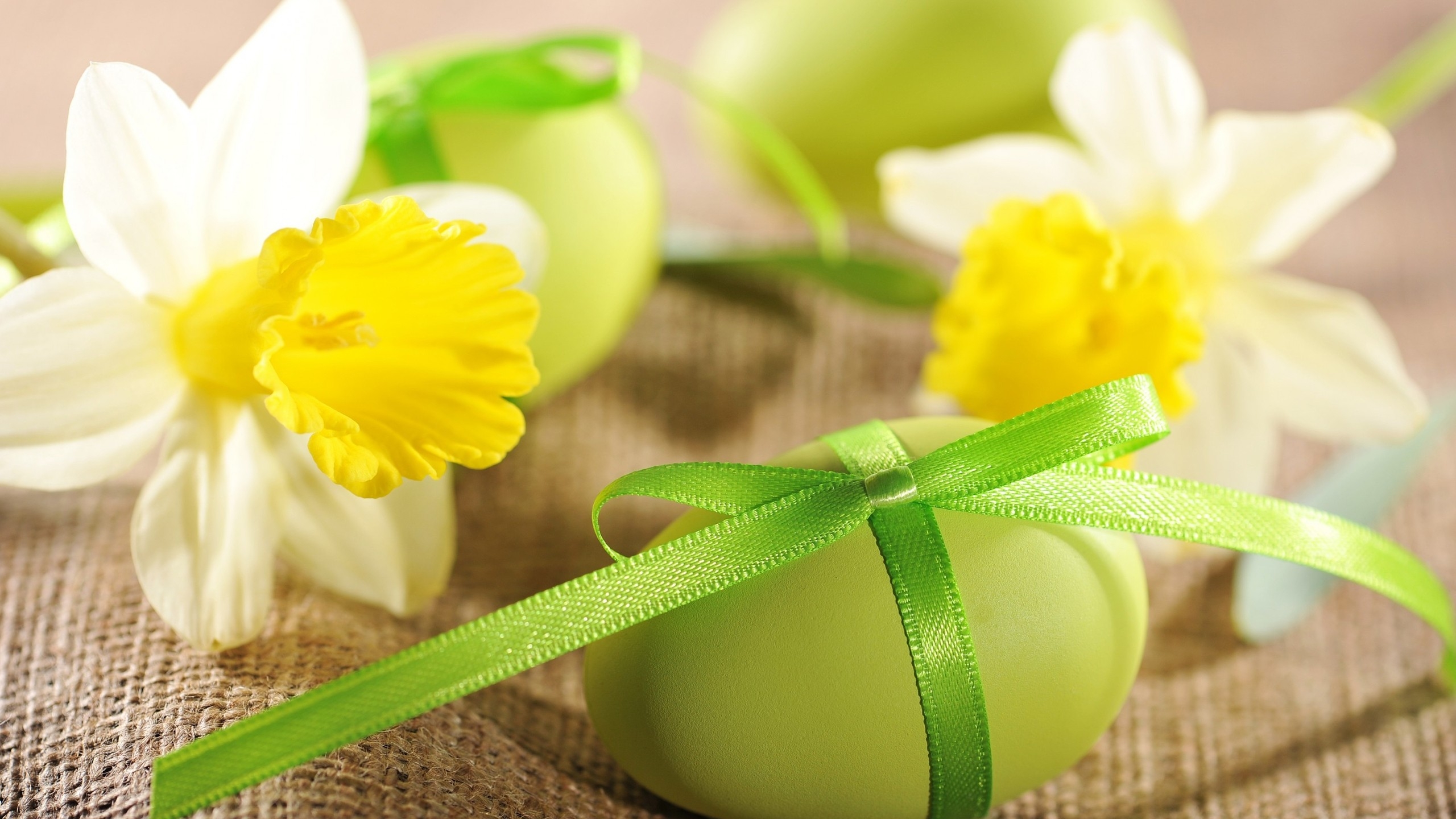 Daffodils and Easter Eggs  for 2560x1440 HDTV resolution