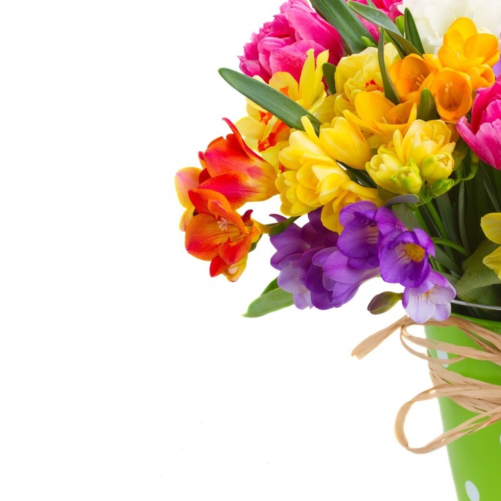 Daffodils and Freesias Bouquet for 1024 x 1024 iPad resolution