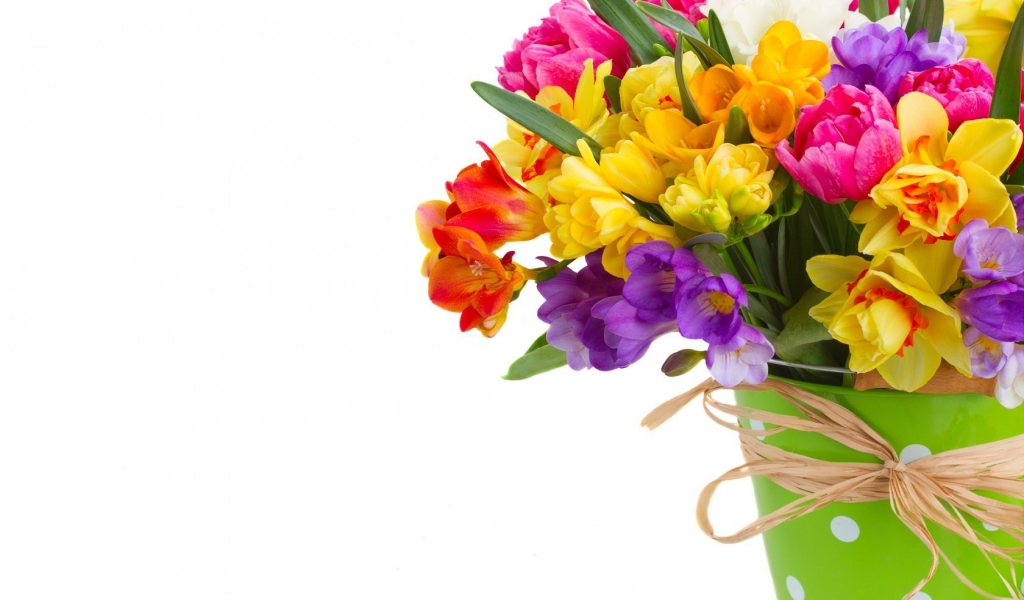 Daffodils and Freesias Bouquet for 1024 x 600 widescreen resolution