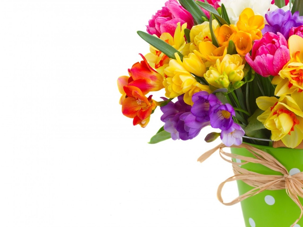 Daffodils and Freesias Bouquet for 1024 x 768 resolution