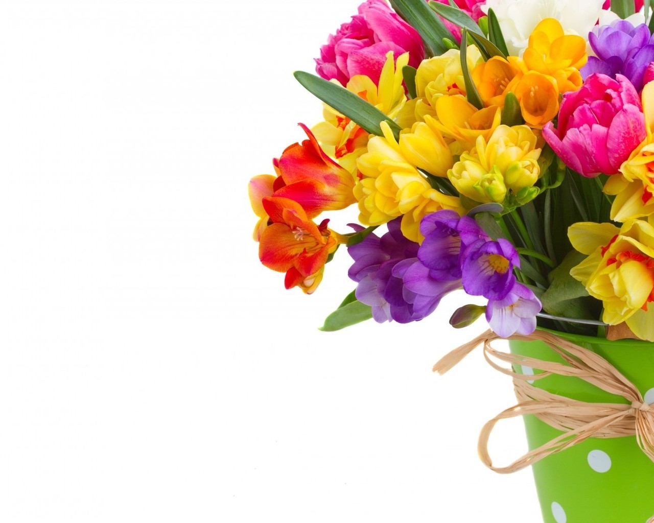 Daffodils and Freesias Bouquet for 1280 x 1024 resolution