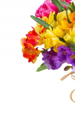 Daffodils and Freesias Bouquet for 320 x 480 iPhone resolution