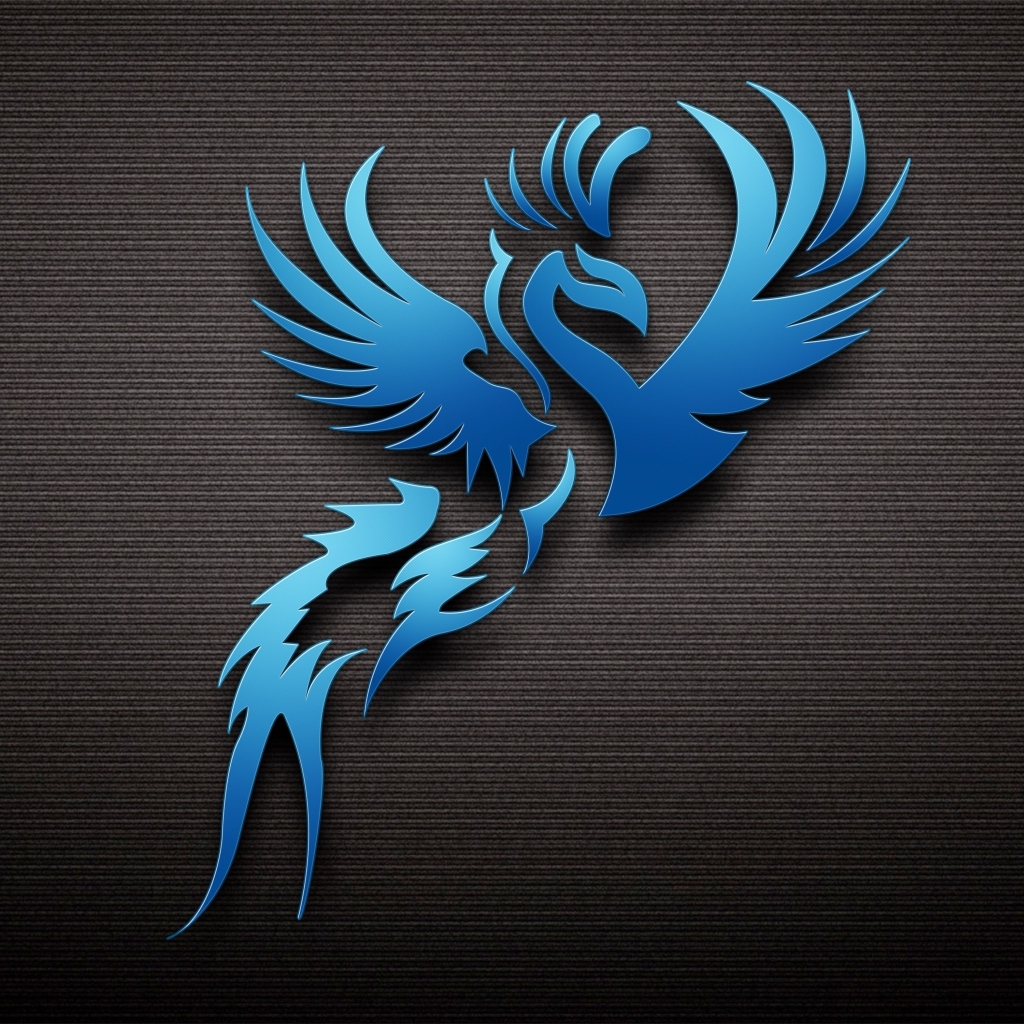 Dark Blue Bird for 1024 x 1024 iPad resolution
