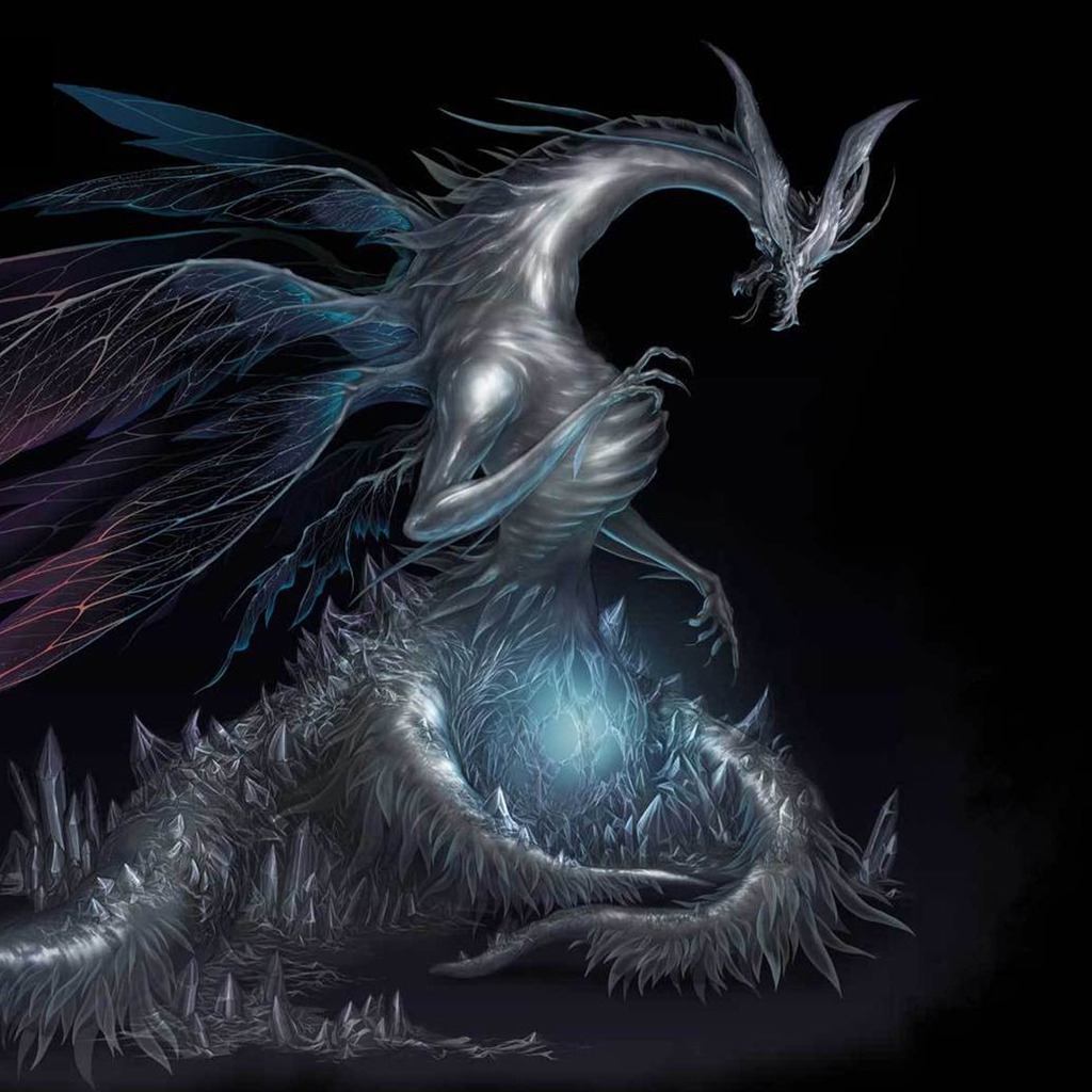Dark Souls Dragon for 1024 x 1024 iPad resolution