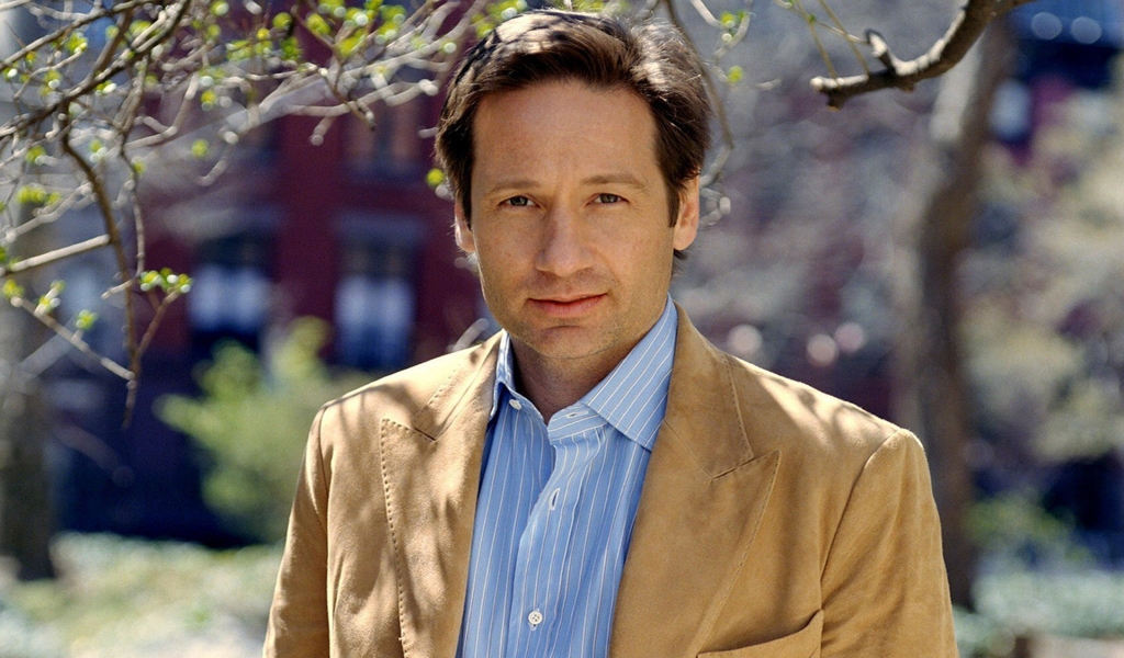 David Duchovny for 1024 x 600 widescreen resolution