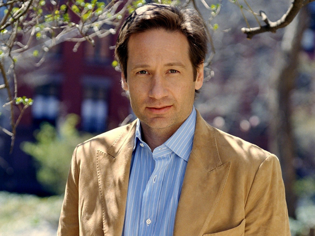 David Duchovny for 1024 x 768 resolution