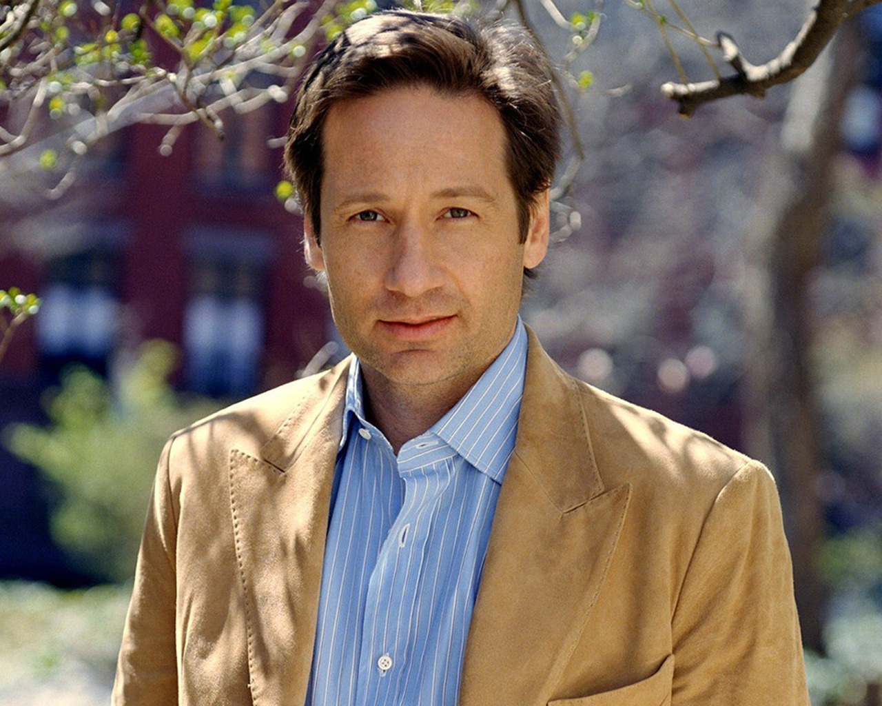 David Duchovny for 1280 x 1024 resolution