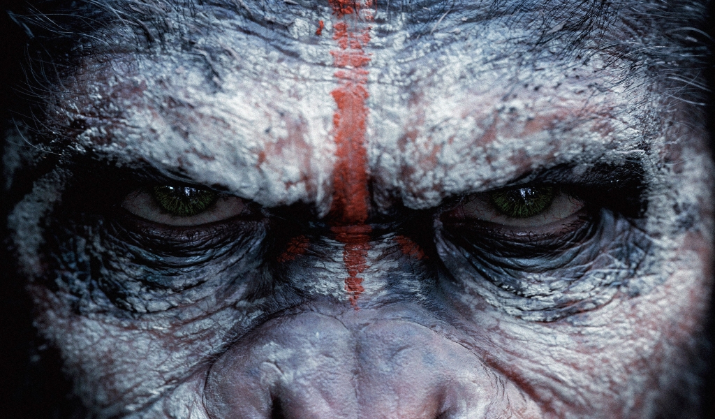 Dawn of the Planet of the Apes for 1024 x 600 widescreen resolution
