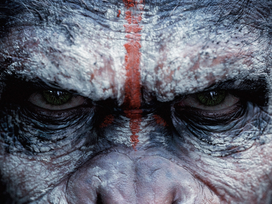 Dawn of the Planet of the Apes for 1152 x 864 resolution