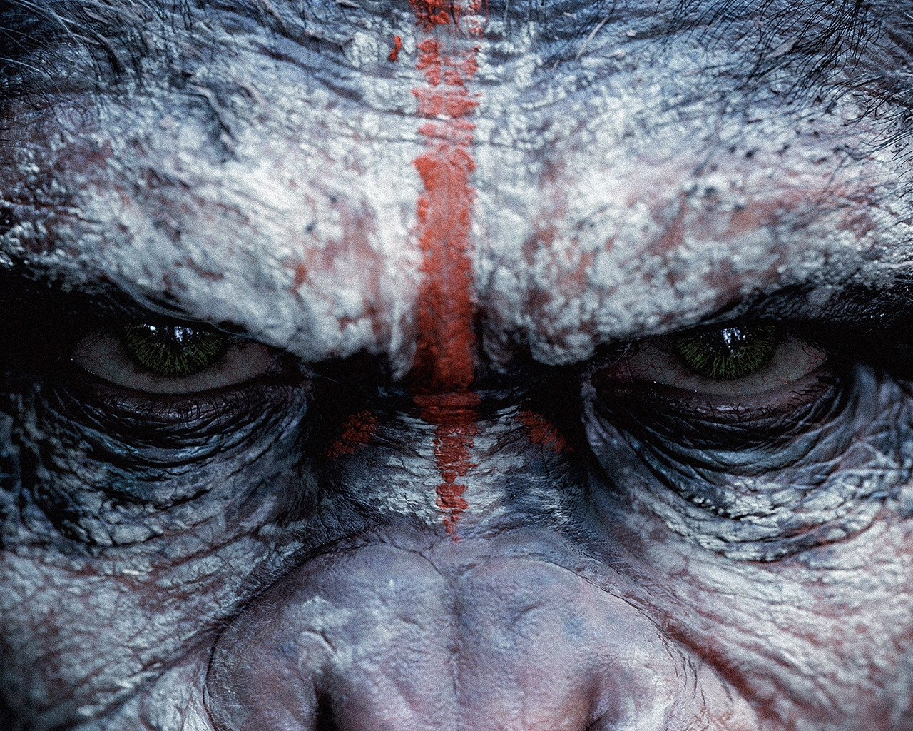 Dawn of the Planet of the Apes for 1280 x 1024 resolution