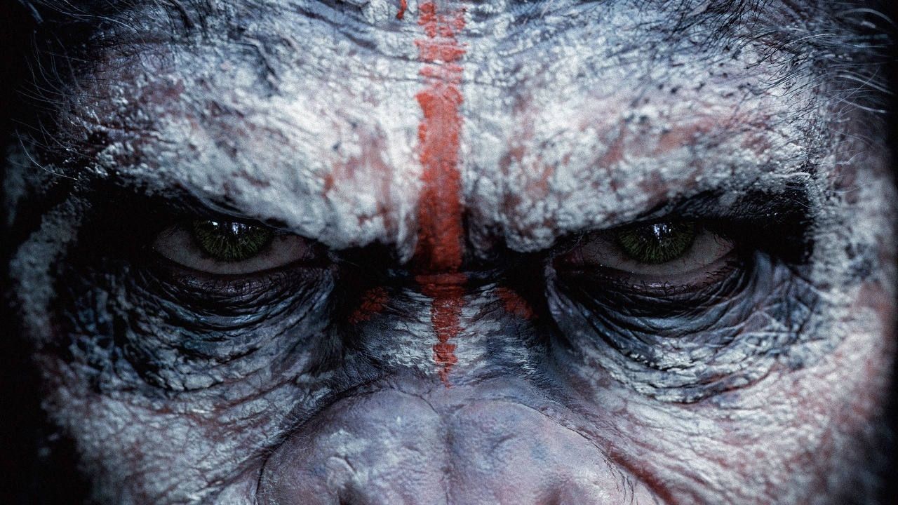 Dawn of the Planet of the Apes for 1280 x 720 HDTV 720p resolution