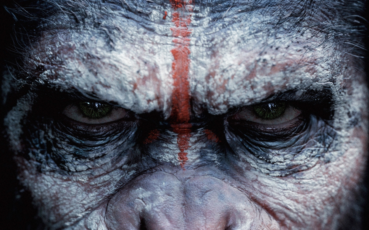 Dawn of the Planet of the Apes for 1280 x 800 widescreen resolution