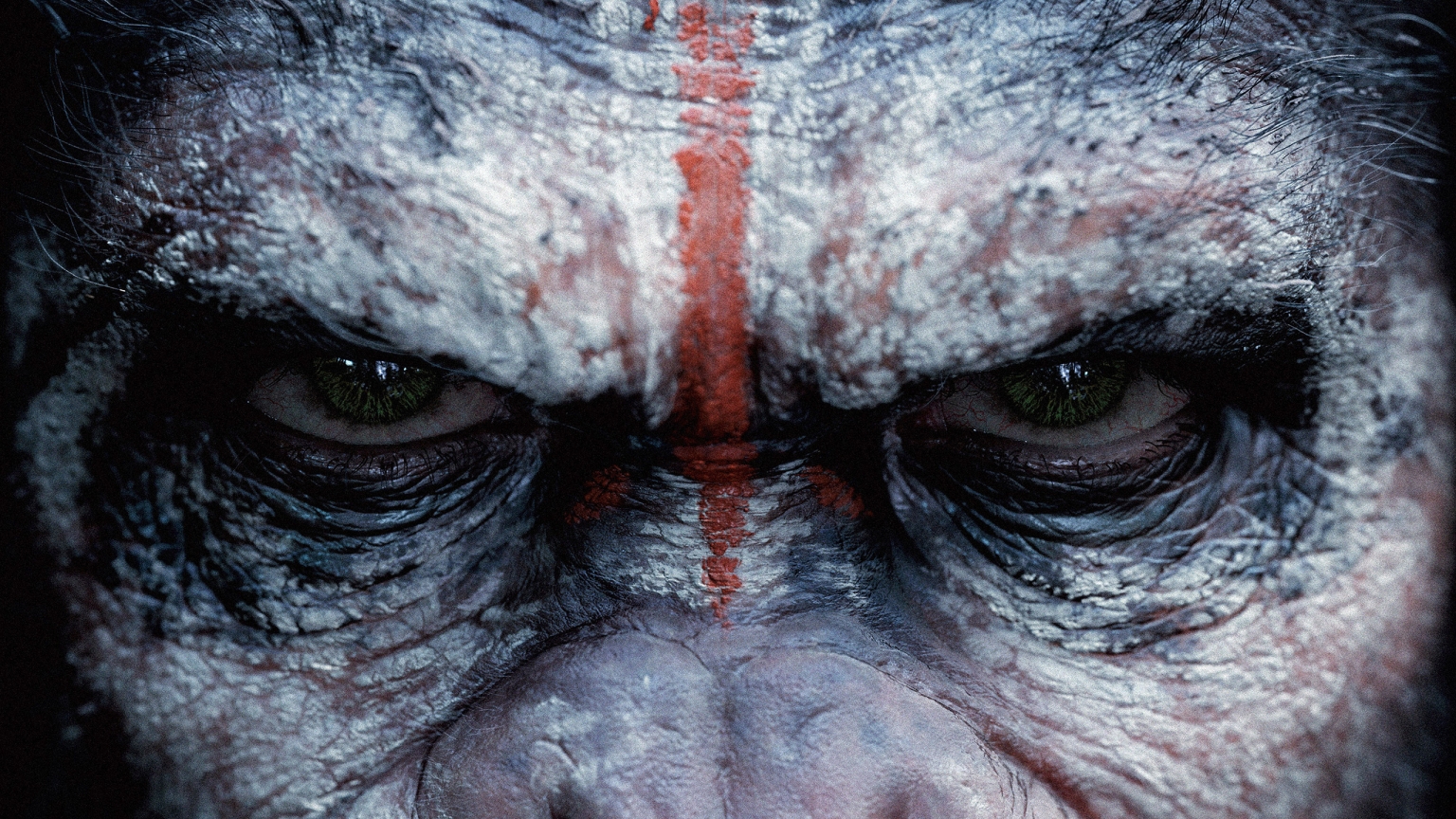 Dawn of the Planet of the Apes for 1536 x 864 HDTV resolution