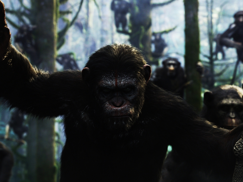 Dawn of the Planet of the Apes Movie for 1024 x 768 resolution