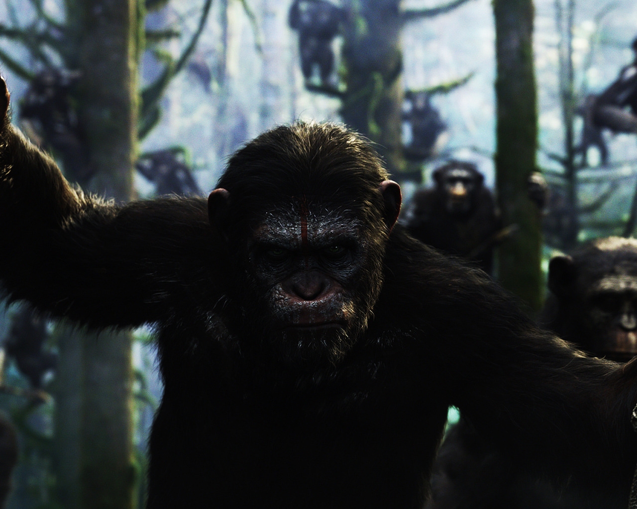 Dawn of the Planet of the Apes Movie for 1280 x 1024 resolution