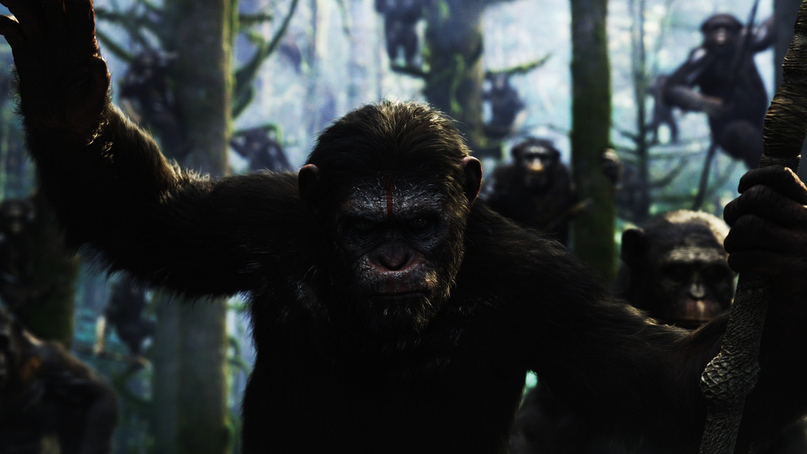 Dawn of the Planet of the Apes Movie for 1600 x 900 HDTV resolution