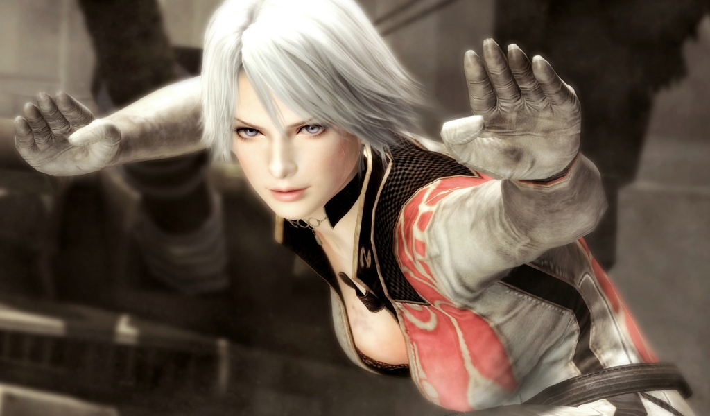 Dead or Alive 5 for 1024 x 600 widescreen resolution