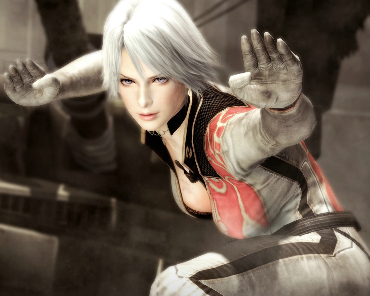 Dead or Alive 5 for 1280 x 1024 resolution