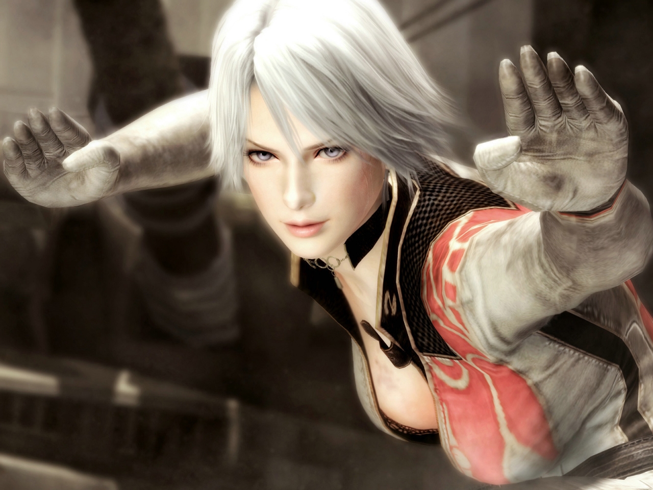 Dead or Alive 5 for 1280 x 960 resolution