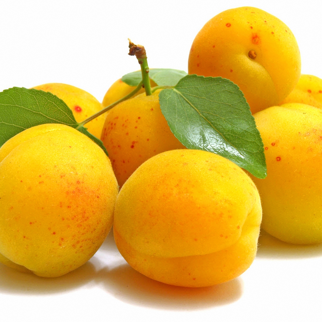 Delicious Apricots for 1024 x 1024 iPad resolution