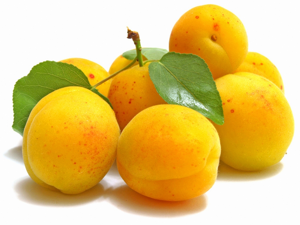Delicious Apricots for 1024 x 768 resolution