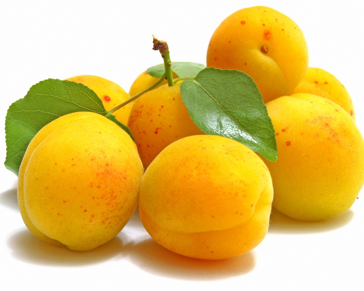Delicious Apricots for 1280 x 1024 resolution